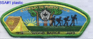 Patch Scan of 380855 WOOD BADGE