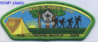 380855 WOOD BADGE Puerto Rico Council #661