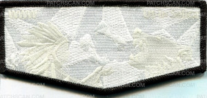 Patch Scan of WWW Ut-In Selica - pocket flap
