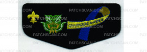 Patch Scan of 2024 Ordeal Flap (PO 101637