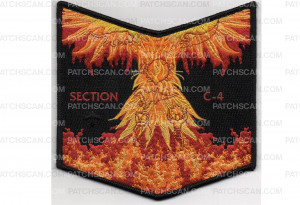 Patch Scan of Section C-4 Pocket Patch (PO 88213)