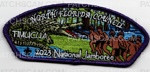 Patch Scan of 2023 NSJ- North Florida Council Timucua CSP (Purple)