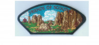 Yucca Council FOS CSP 2015  (84990) Yucca Council #573