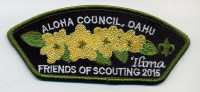 Aloha Council, Oahu (Friends of Scouting 2015) Aloha Council #104