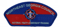 NEGA- NYLT CSP (Staff)  Northeast Georgia Council #101