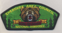 335584 A CHEROKEE AREA COUNCIL Cherokee Area Council