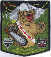 418907- Arrow Corps  Cascade Pacific Council #492