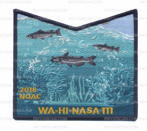 Patch Scan of Wa-Hi-Nasa 111 2018 NOAC pocket patch #2