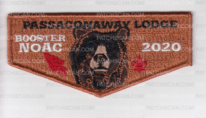 Patch Scan of Passaconaway Lodge Booster 2020