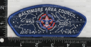 Patch Scan of Baltimore Area Council Constellations NYLT 2020