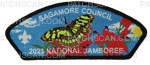 Patch Scan of Sagamore Council- 2023 NSJ- Butterfly CSP