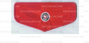 Patch Scan of Brotherhood Flap (PO 85235C)