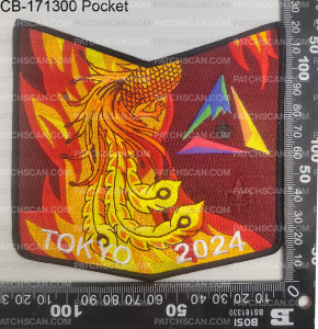 Patch Scan of 171300-Pocket