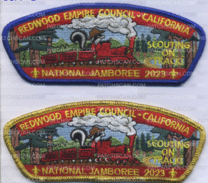 Patch Scan of 456203 Redwood Empire Council CSP