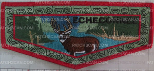 Patch Scan of 464484- Echeconnee