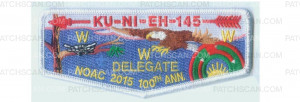 Patch Scan of NOAC flap (85123)