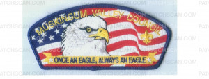 Patch Scan of Eagle Scout CSP (85155)