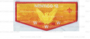 Patch Scan of Nentico NOAC flap