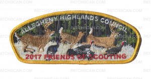 Patch Scan of Allegheny Highlands Council- FOS 2017- Gold 