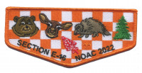 Section E16 NOAC 2022  Baden-Powell Council #368
