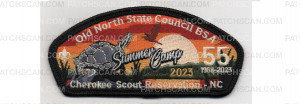 Patch Scan of Summer Camp CSP (PO 101061)