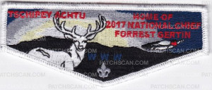 Patch Scan of TSCHIPEY ACHTU HOME OF 2017 NATIONAL CHIEF FORREST GERTIN OA 
