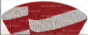 Patch Scan of USA Viper NEIC Six Flags 2017 National Jamboree