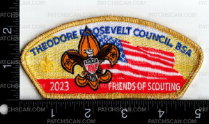 Patch Scan of 163255-Gold