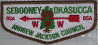 456198 A Sebooney  Andrew Jackson Council #303