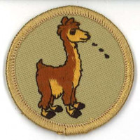 X168912A (The Spitting Alpaca Patrol) Troop 314