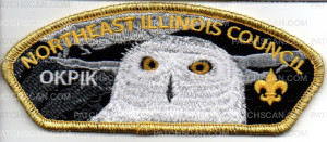 Patch Scan of Northeast Illinois Council OKPIK Owl 2017