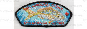 Patch Scan of 2023 National Jamboree CSP Yellow Tail Snapper (PO 101073)