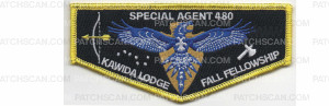 Patch Scan of 2017 Fall Fellowship Flap (PO 87328)