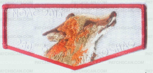 Patch Scan of NOAC WAG-O-SHAG FLAP - RED