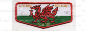 Patch Scan of Lodge Advisor Flap (PO 100629