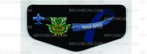 Patch Scan of 2024 Brotherhood Flap (PO 101639)