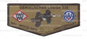 Patch Scan of semialachee lodge 239 flap