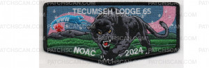 Patch Scan of 2024 NOAC Flap (PO 101343)