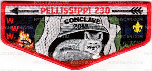 Patch Scan of Conclave 2018- Pellissippi 230 Flap 