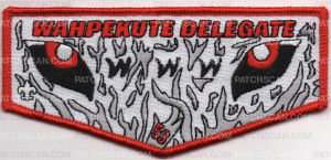 Patch Scan of WAHPEKUTE DELEGATE FLAP