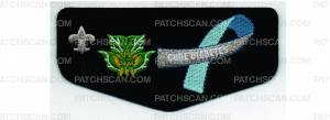 Patch Scan of AIE Flap 2024 (PO 101632)