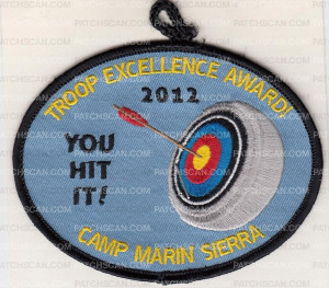 Patch Scan of X149720B TROOP EXCELLENCE AWARD 2012