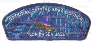 Patch Scan of National Capital Area Council Florida Sea Base CSP