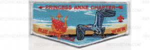 Patch Scan of Princess Anne Flap (PO 101015)