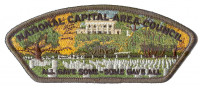 National Capital Area Council Arlington CSP National Capital Area Council #82
