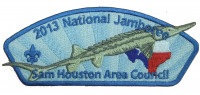 TB 209267 SHAC Jambo CSP Fish 2013 Sam Houston Area Council #576