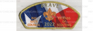 Patch Scan of FOS CSP 2022 - Brave (PO 100253)