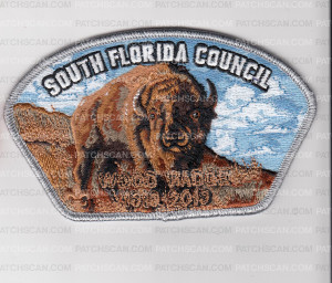 Patch Scan of SO FLA CNCL WOODBADGE BISON CSP