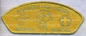 Patch Scan of AR0177C-D - BAC Wood Badge Gold Ghost