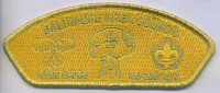 AR0177C-D - BAC Wood Badge Gold Ghost Baltimore Area Council #220